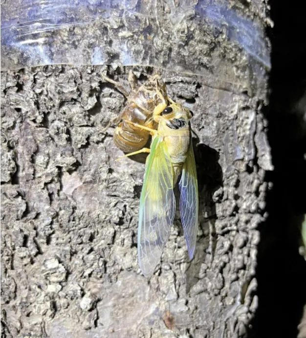 來濟(jì)南，“夏”鄉(xiāng)避暑